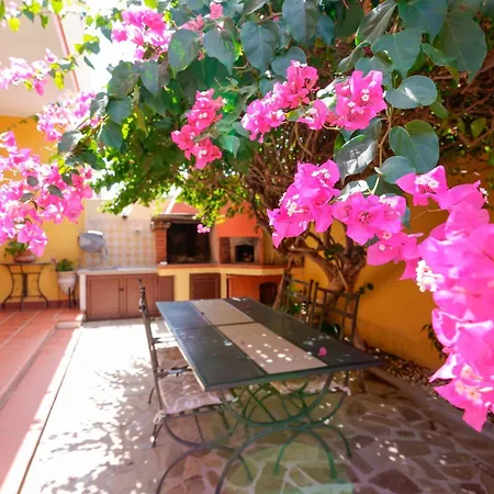 B&B Il Piccolo Giardino-2